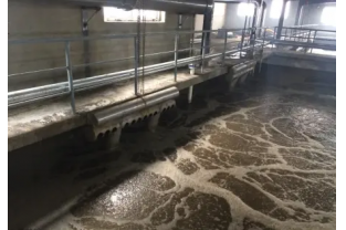 食品工業(yè)廢水的來(lái)源、特點(diǎn)及危害