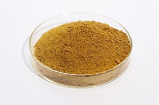 選擇聚合氯化鋁時(shí)主要看哪些指標？