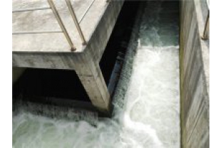 生化出水氨氮超標是怎么回事，要怎么辦