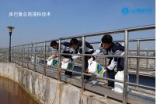 庫巴魯微生物技術(shù)在準地表4類(lèi)水中的整體解決方案