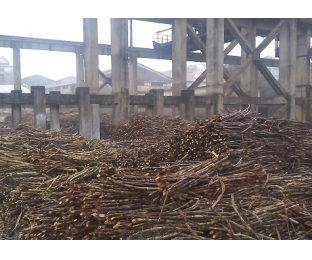 廣西來(lái)賓某堿氯法甘蔗渣制漿廠(chǎng)除COD、脫色案例分享