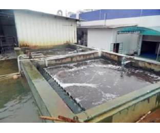 廈門(mén)某電鍍廠(chǎng)重金屬處理-總銅&總鎳超標