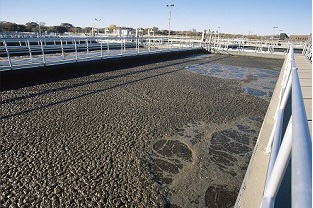 【干貨】泥齡導致的氨氮超標？那這種情況該如何處理呢？