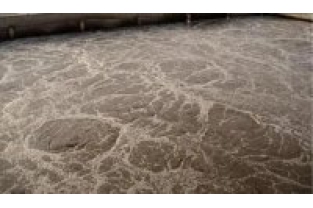 添加碳源的后續處理困難點(diǎn)